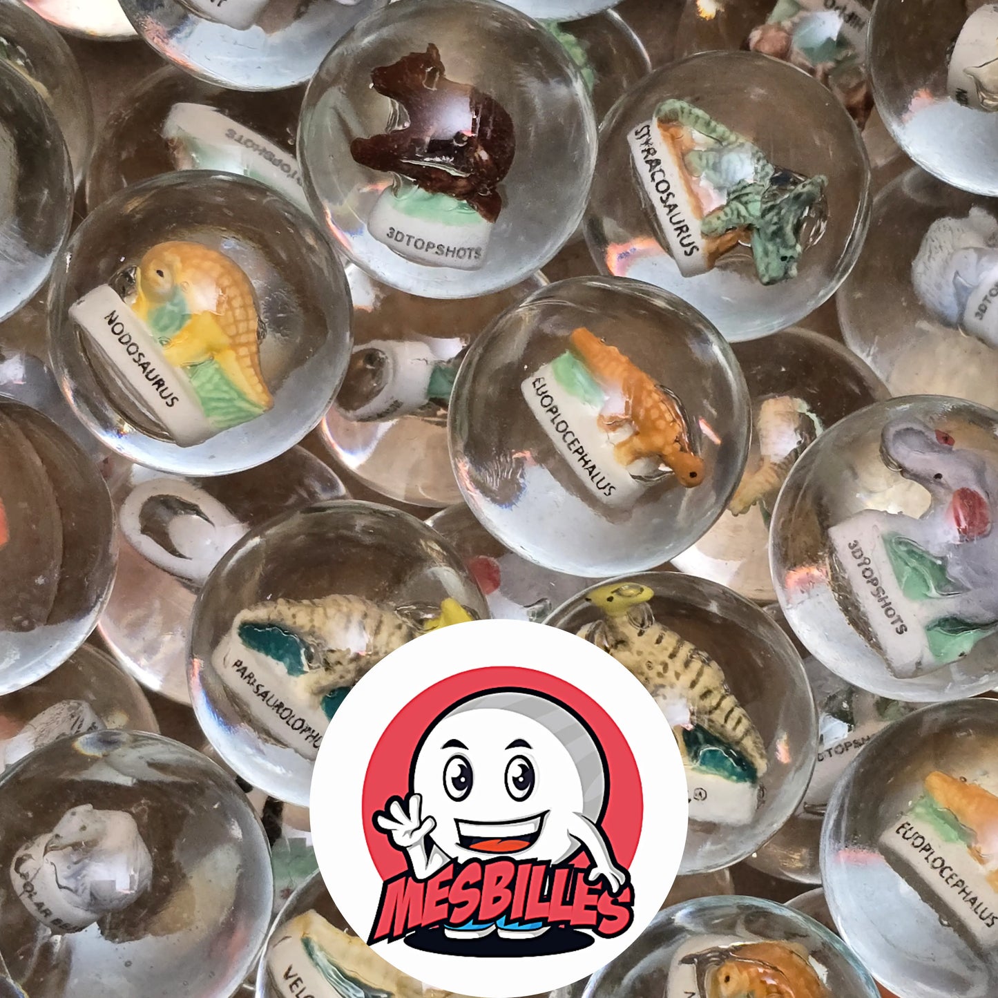 Le Protoceratops, petit ancêtre à collerette, incarne l’un des dinosaures les plus attachants de son époque. Dans cette bille, il devient une créature douce, curieuse et pleine de caractère. Parfaite pour les passionnés de dinosaures, les collectionneurs de pièces rares… ou les enfants qui rêvent de paléontologie.